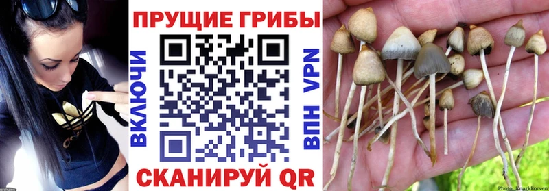 hydra маркетплейс  Соликамск  Галлюциногенные грибы мухоморы 